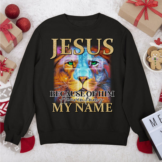 Must-Have Lion Unisex Sweatshirt - Jesus Because Of Him, Heaven Knows My Name AHN219