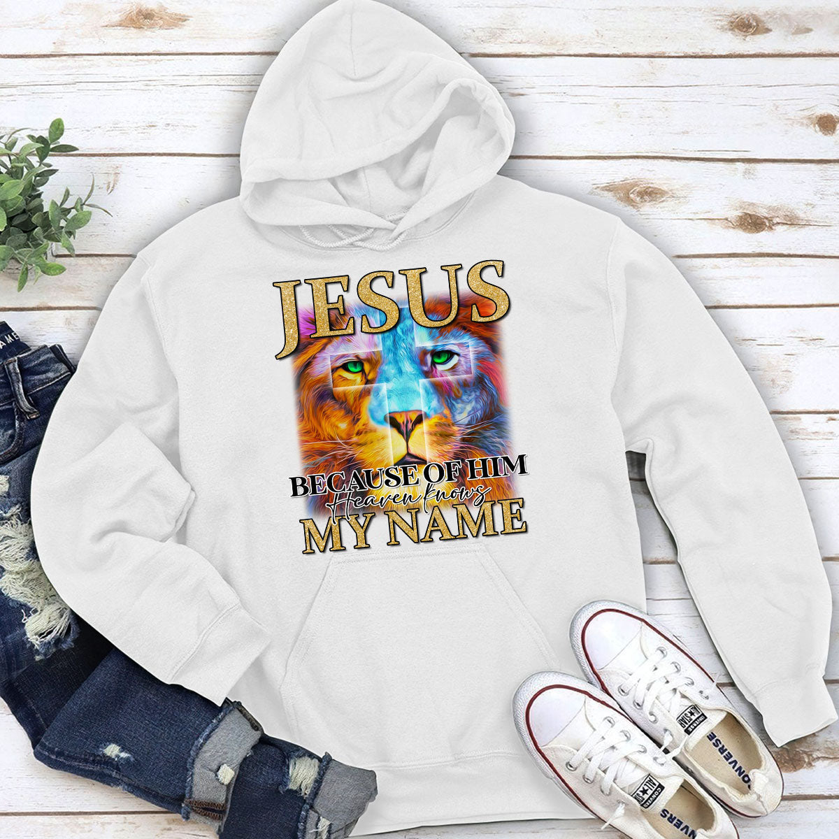 Unique Lion Unisex Hoodie - Jesus Because Of Him, Heaven Knows My Name AHN219